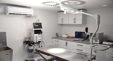 Torbalı'da sokak hayvanları için tam teşekküllü ameliyathane