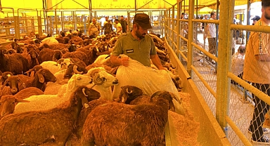 TÜİK: Devlet destekli tarım sigortalarında toplam sigorta bedeli geçen yıl yüzde 138,1 arttı