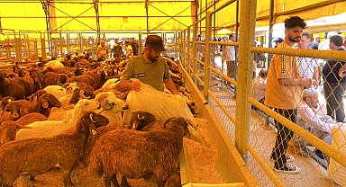 TÜİK: Devlet destekli tarım sigortalarında toplam sigorta bedeli geçen yıl yüzde 138,1 arttı