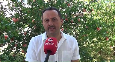 Türkiye Kamu-Sen Sinop İl Başkanı Çelik: "Memurların maaşları 22 bin TL'ye denk gelmiyor"
