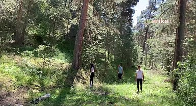 Türkiye'nin en kaliteli salep orkidesi Yozgat'ta yetişiyor