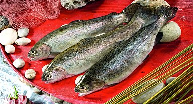 Türkiye'nin su ürünleri ihracatı yılın ilk 6 ayında yüzde 9'luk artışla 829 milyon dolara ulaştı