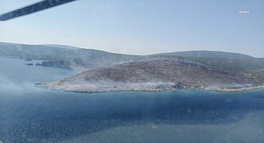 Urla'da makilik alanda çıkan yangın kontrol altına alındı