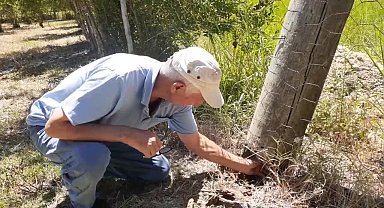 Yan yatan ve tehlike yaratan elektrik direğinin onarılmamasına tepki gösteren Kadirlili vatandaş: "Hiç sağlıklı değil, her an tehlike burada"