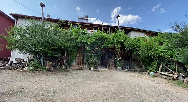 Yozgat'ta ağaç köklerinden süs eşyası, dallarından baston yapan usta, sergi salonuna kavuştu