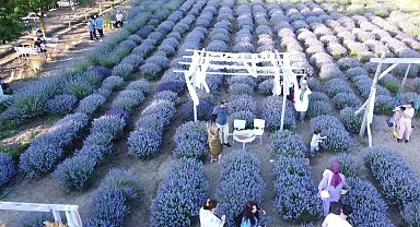 Yozgat'ta kurulan lavanta bahçeleri turizmi de hareketlendirdi