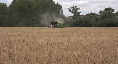 Yozgat Ziraat Odası Başkanı Açıkgöz TMO'nun kotayı artırmasını istedi: "Çiftçimiz mağdur durumda"