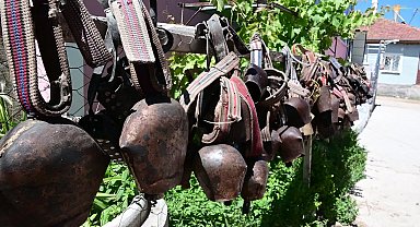 Yozgatlı besici; Koyun ve keçilere takılan tongurdaklardan koleksiyon yaptı