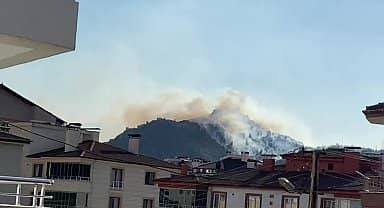 Amasya Kalesi'nde ormanlık alanda yangın çıktı