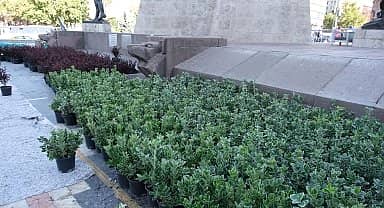 Ankara Büyükşehir Belediyesi'nden Ulus Meydanı'nda peyzaj çalışması