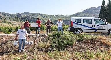 Antalya Büyükşehirin çiftçilere faydalı böcek desteği sürüyor