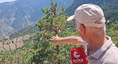 Artvin'in üç köyünde vatandaş, altın madeni çalışmalarına tepkili: "Tozu toprağı biz çekeceğiz, sen adamın zenginliğine zenginlik katacaksın"