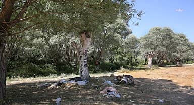 ASKİ'den başkentlilere "Barajlara girmek tehlikeli ve yasaktır" uyarısı 