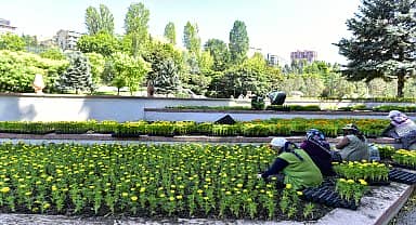 Başkent, yaz çiçekleriyle renkleniyor