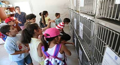 Bodrumlu öğrencilerden can dostlara ziyaret