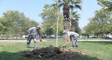 Bornova'da park yenileme hamlesi