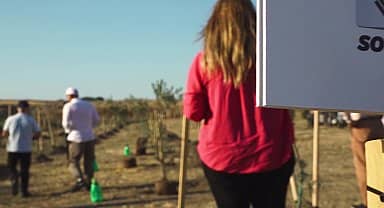 Büyükçekmece'de 100 ülkeden gelen gençler dünya barışı için 100 zeytin fidanı dikti