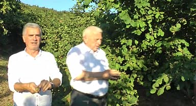 CHP Düzce Milletvekili Özcan: "Fındık fiyatları konusunda halk tedirgin, beklentisi var"