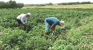 Edirne'de emekli çiftin hayalleri gerçek oldu: 