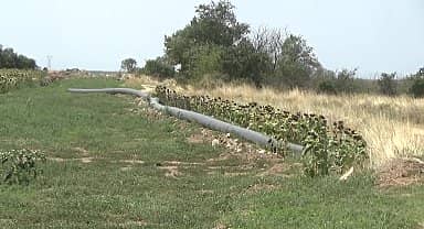 Edirneli üreticiler cevizlerini sulama sistemiyle sulamak istiyor