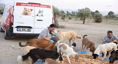 Efeler Belediyesi can dostları beslerken israfı da önlüyor