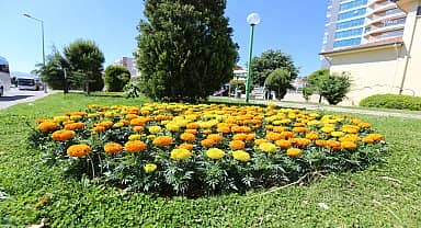 Efeler Belediyesi, son 4 yılda kentin çehresini değiştirdi 