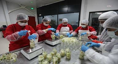 Efeler Belediyesi, yöresel ürünlerine değer kazandırıyor