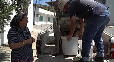 Efes Selçuk'ta Geleneksel İş Birliği: Kadınlar Seçiyor, erkekler kesiyor, belediye eziyor...