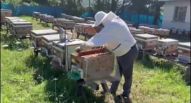 Erfelek Ziraat Odası Başkanı Koca: "Krizden ve kıtlıktan dolayı fiyatlar yükseldi. Satışlarımız durma noktasına geldi"