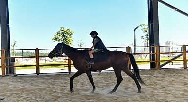 Esenyurt Belediyesi'nin binicilik tesisinde vatandaşlar at binmeyi öğreniyor