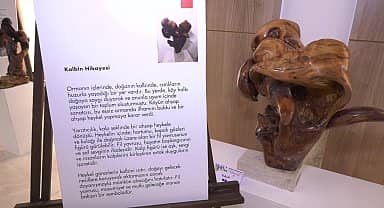 Fikret Doğan'ın "Ardıç'ın Gizemi" sergisi Büyükçekmece'de