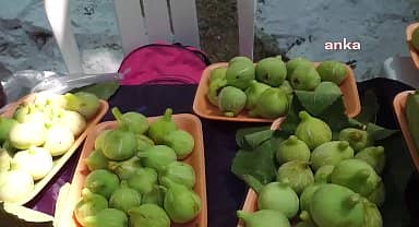 Güzelbahçe'de Bardacık Festivali kuraklık ve ürün azlığı nedeniyle iptal edildi