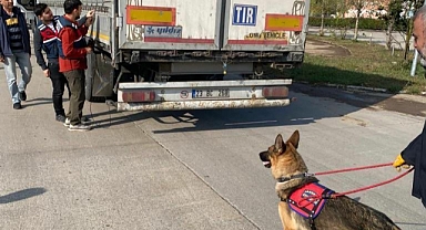 İçişleri Bakanı Yerlikaya: “Sakarya ve Hatay'da 39 göçmen kaçakçılığı organizatörü yakalandı”