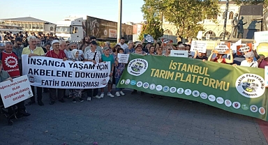 İstanbul’da “Akbelen” eylemi: “Tüm sorumlular hakkında suç duyurusunda bulunuyoruz”