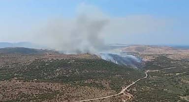 İzmir'de makilik alanda yangın