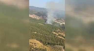 İzmir'in Çeşme ve Kınık ilçelerinde yangın çıktı