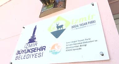 İzmir'in unutulmaz Fili Pak Bahadır'ın iskeleti ziyarete açıldı 