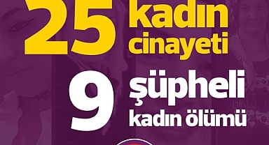 Kadın Cinayetlerini Durduracağız Platformu’nun Temmuz Ayı Raporu açıklandı