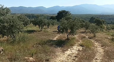 Karacasu'da gübre tankı çalınan çiftçi tepki gösterdi: 