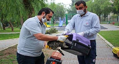 Karşıyaka Belediyesi can dostların yanında