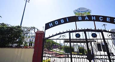 Küçükçekmece Belediyesi Hobi Bahçesi'nde hasat heyecanı