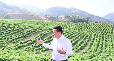 Kumluca Belediye Başkanı Köleoğlu, Beydağı Fasulyesi tarlalarını gezdi 