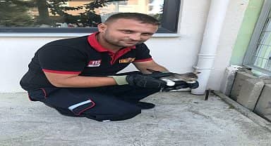 Lüleburgaz itfaiyesi, duvar arasına sıkışan yavru kedileri kurtardı