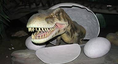 Maltepe Belediyesi'nin müzeleri, yaz tatilinde ziyaretçilerini bekliyor