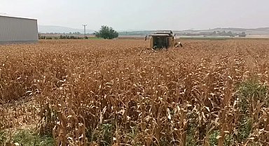 Osmaniyeli çiftçi: "Her yıl bir motorumuzu, traktörümüzü sattık. Bu sefer de tarlayı satıp, köleleşmeye devam edeceğiz"