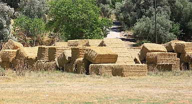 Muğla Büyükşehir Belediyesi'nden 700 üreticiye 3 milyon TL değerinde kaba yem desteği