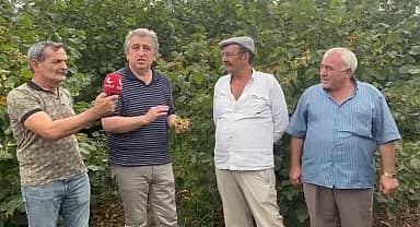 Murat Çan, fındık üreticilerini ziyaret etti: "Türk fındık üreticisine ihanet ediliyor"