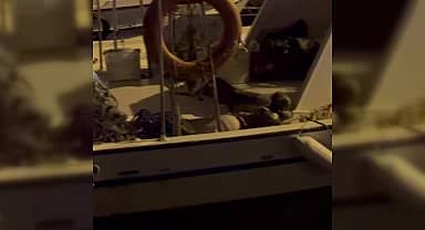 Nesli tükenmekte olan su samuru, Sinop'ta balık ararken görüntülendi