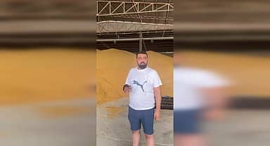 Osmaniyeli tüccar mısır fiyatının artırılması çağrısı yaptı: "Çiftçi hesap görmeye geldiğinde yüzüm kızarıyor"