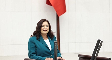 Sevda Erdan Kılıç: 